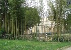 dsc09634