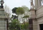 dsc09690