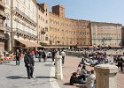 siena054
