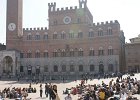 siena056
