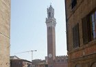siena060