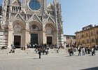 siena079