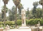 dsc03019