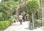 dsc02958
