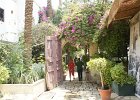 dsc02961