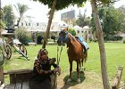 dsc02965