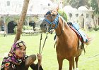 dsc02966