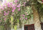 dsc02967