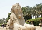dsc03017