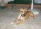 dsc04540