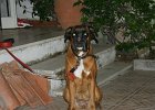 dsc04544