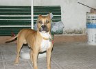 dsc04546
