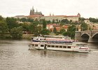 praga317
