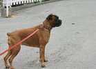 dsc00375