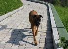dsc00539