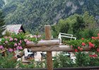 dsc03957