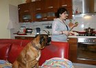 dsc07803