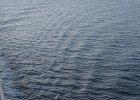 dsc04513
