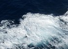dsc06909