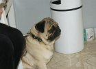 dsc00566