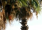 dsc03177