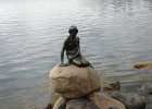 dsc03635