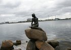 dsc03637