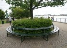 dsc03651