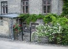 dsc03667
