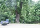 dsc03686