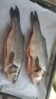 img-20180624-wa0021