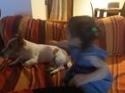 img-20180610-wa0028