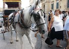 dsc02582