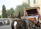 dsc02644