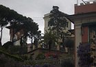 genova183