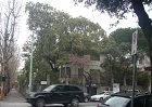 genova186