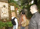 dsc05201