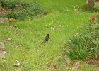 dsc05256