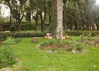 dsc05257