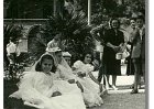 angeli026