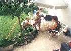 giardino000g