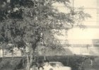 baby215