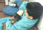 susy011