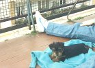 susy014