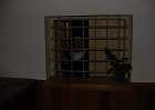 dsc00265