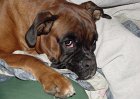 dsc00119