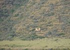 costa09_10161