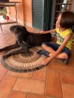 img-20210726-wa0060
