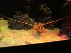img_3346