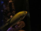 img_3360